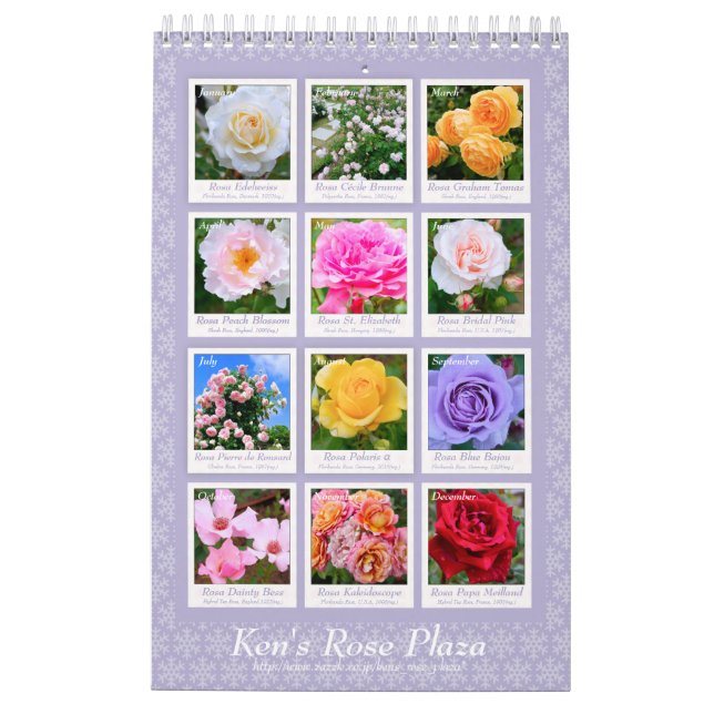 Calendario de Rosas hermosos タ・プ レ カ ダ・・. (Reverso)