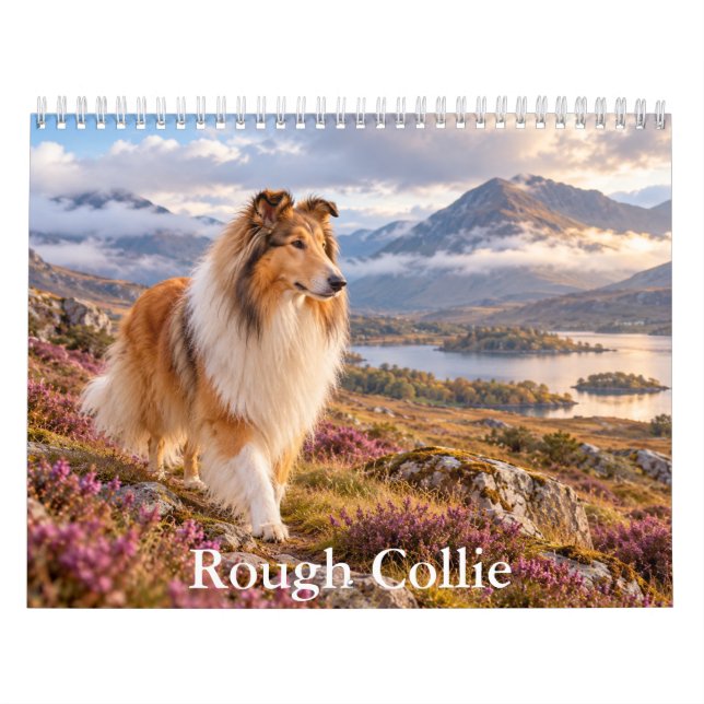 Calendario de Rough Collie (Tapa)