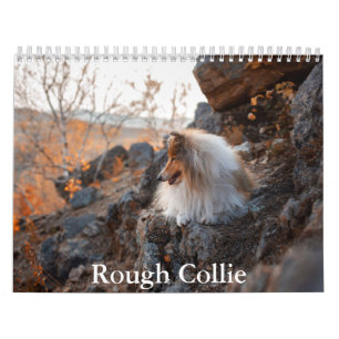 Calendario de Rough Collie