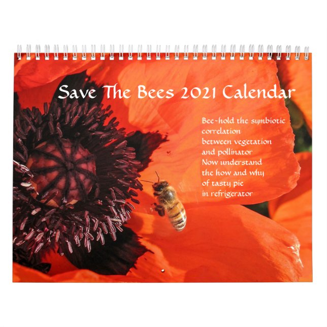 Calendario de Save The Bees 2020, foto (Tapa)