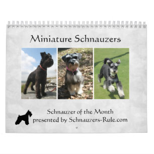 Calendario de Schnauzer Miniatura