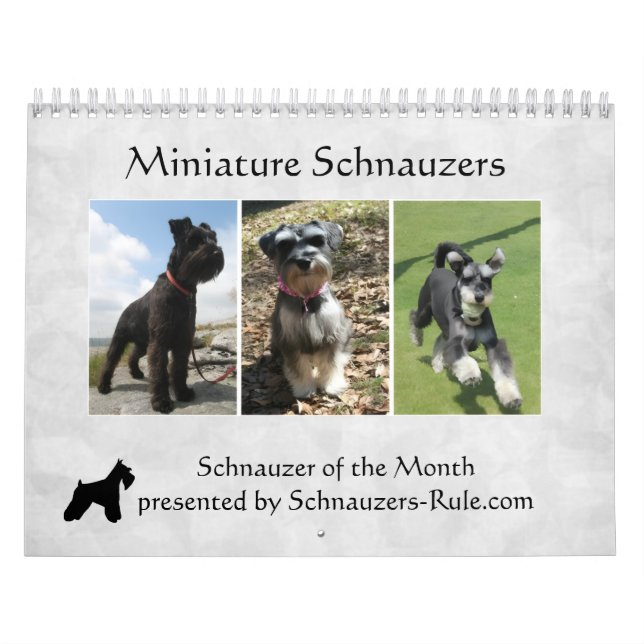 Calendario de Schnauzer Miniatura (Tapa)