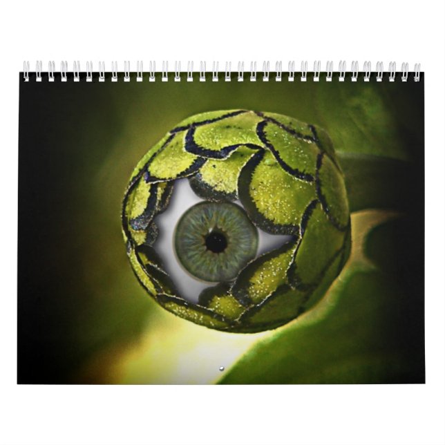 " Calendario de Sci-Fi " (Tapa)