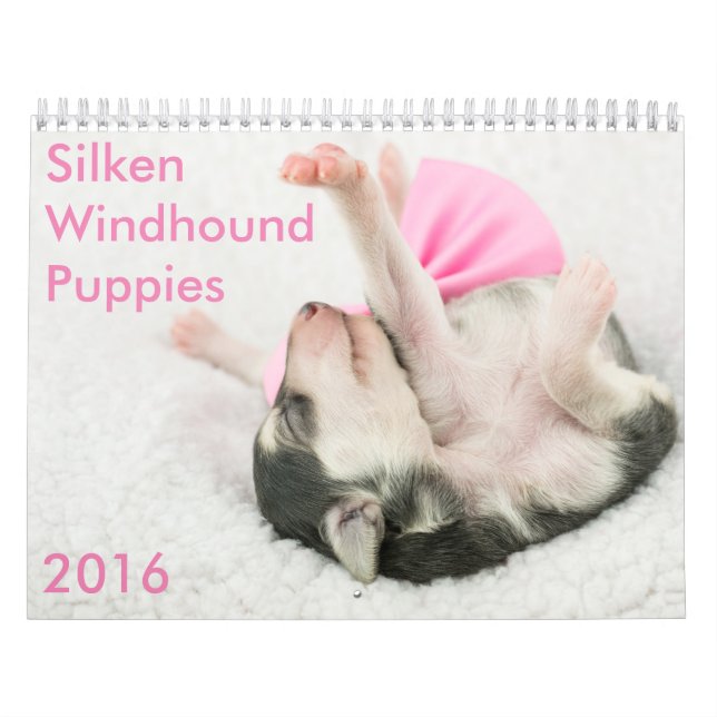 calendario de seda de 5 2016 perritos de Windhound (Tapa)