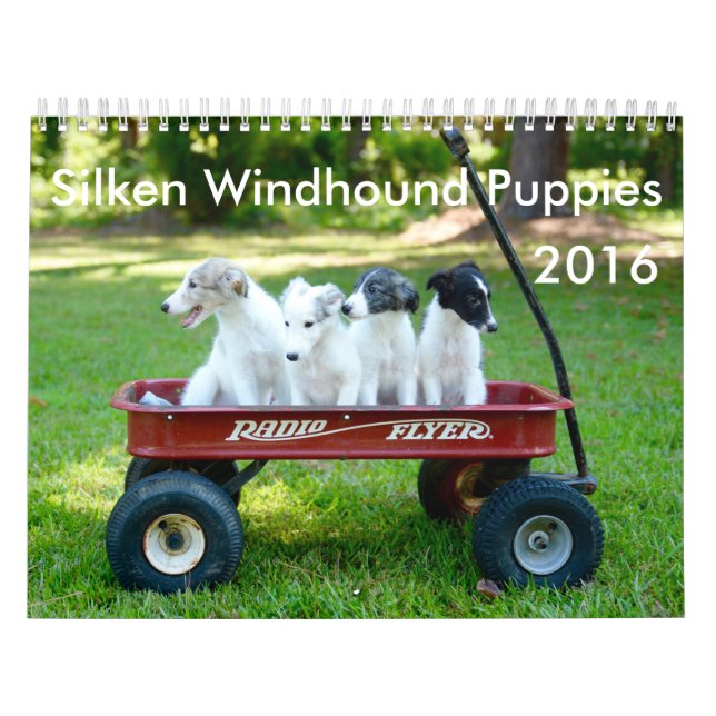 calendario de seda de 6 2016 perritos de Windhound (Tapa)