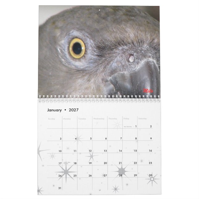 Calendario de Senegals 2009 - modificado para (Jan 2027)