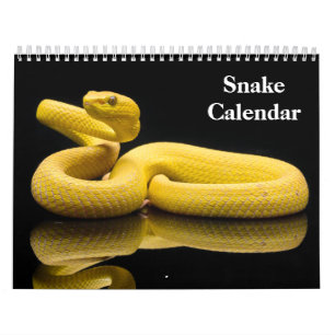 Calendario de Serpientes 2027