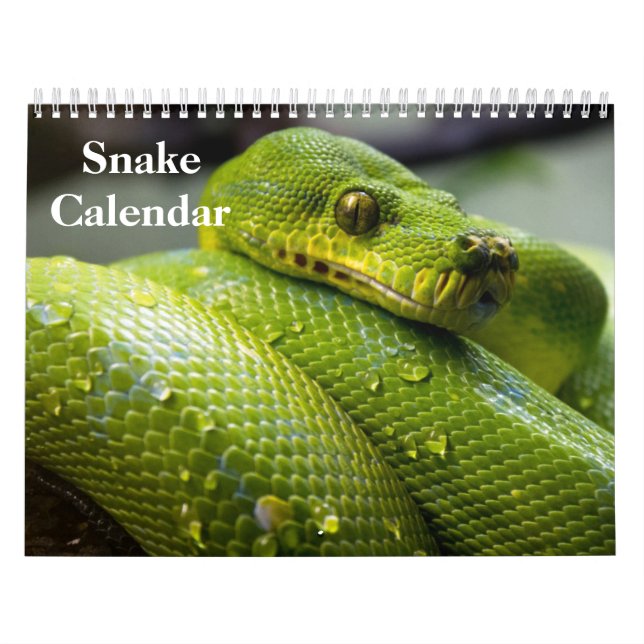 Calendario de Serpientes 2027 (Tapa)
