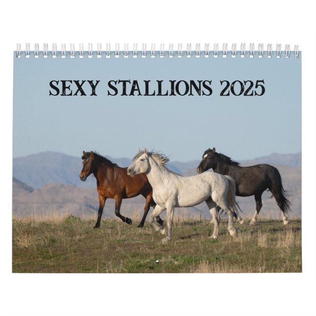 Calendario de Sexy Stallions 2025 (Tapa)