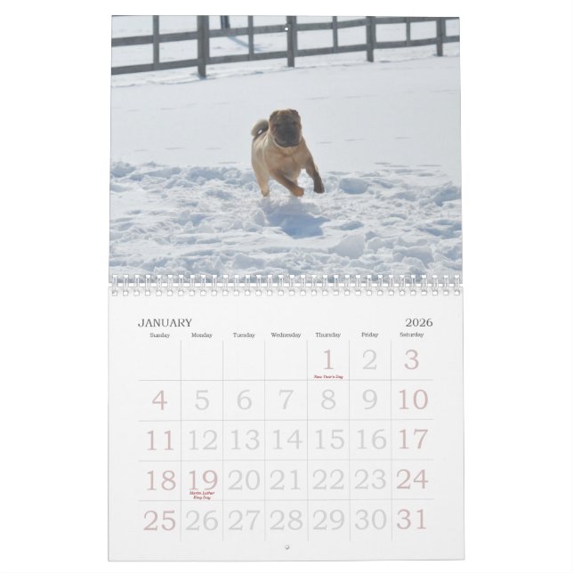 Calendario de Shar-pei del chino (Jan 2026)