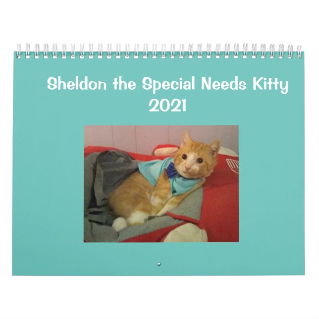 Calendario de Sheldon 2021 (Tapa)