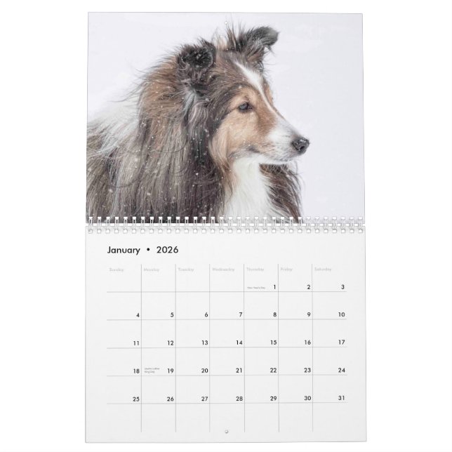 Calendario de Sheltie (Jan 2026)