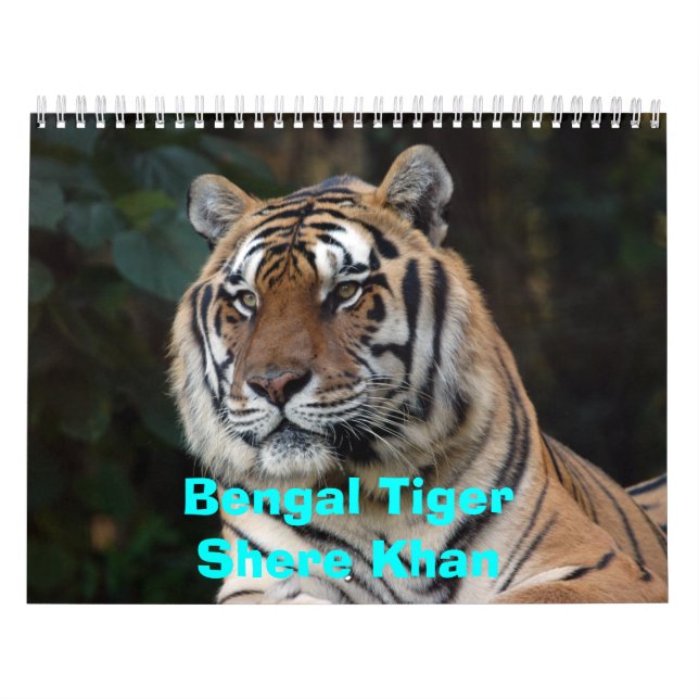 Calendario de Shere-Khan, Bengala TigerShere Khan (Tapa)