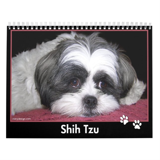 Calendario de Shih Tzu (Tapa)