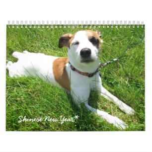 Calendario de Shinese