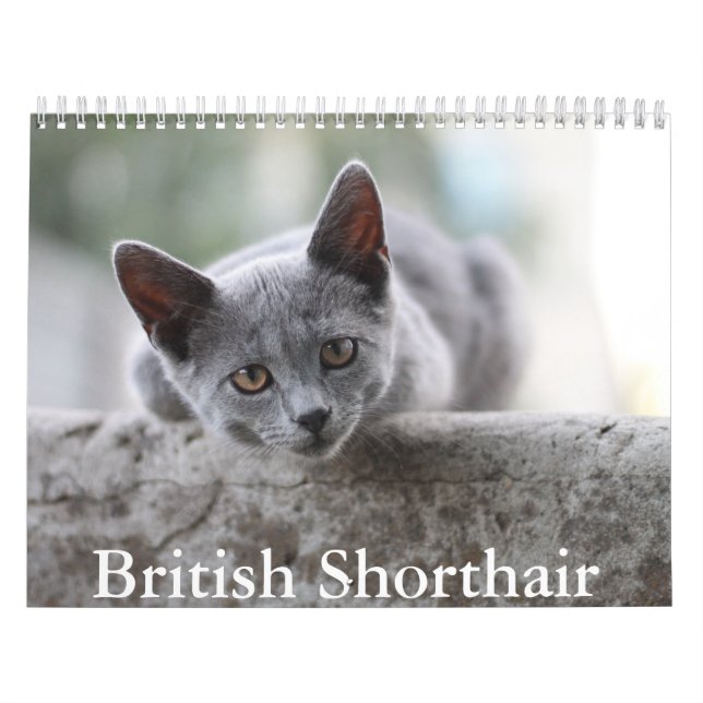 Calendario de Shorthair británico (Tapa)