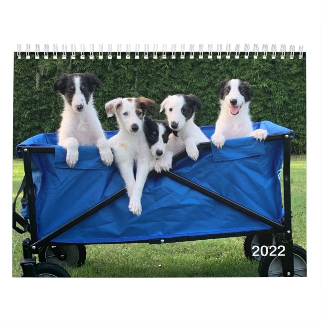 Calendario de Silken Windhounds (Cachorros) 2022 (Tapa)