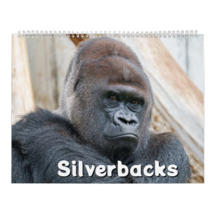 Calendario de Silverback 2026