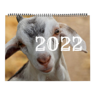Calendario de sólo cabras 2022