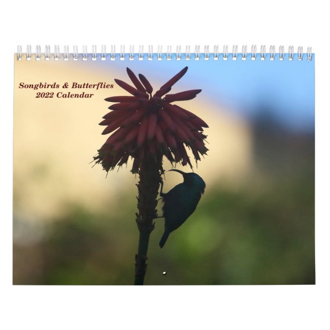 Calendario de Songbirds & Butterflies 2022 (Tapa)