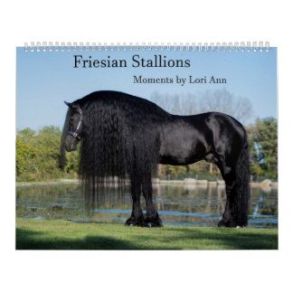 Calendario de Stallion Friesiano por momentos de L