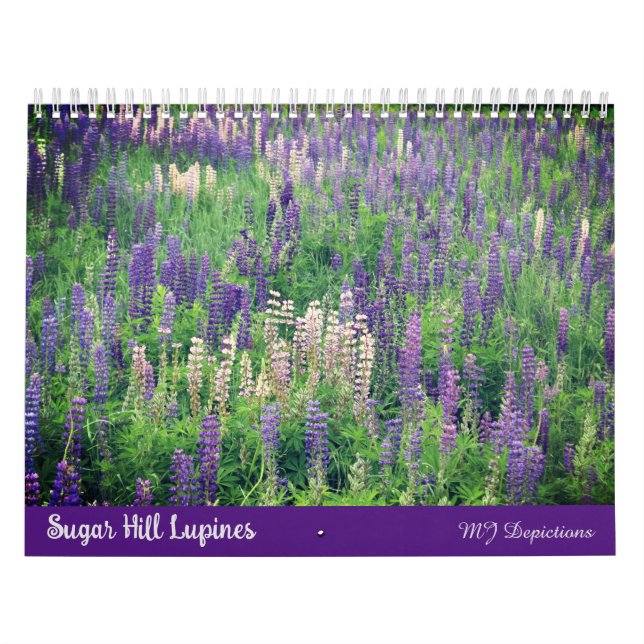 Calendario de Sugar Hill Lupines (Tapa)