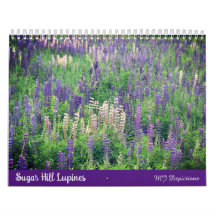 Calendario de Sugar Hill Lupines