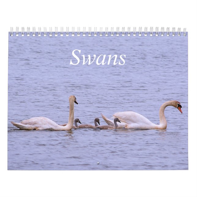 Calendario de Swans (Tapa)