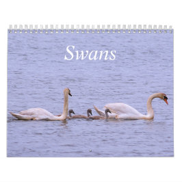 Calendario de Swans