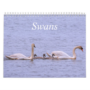 Calendario de Swans
