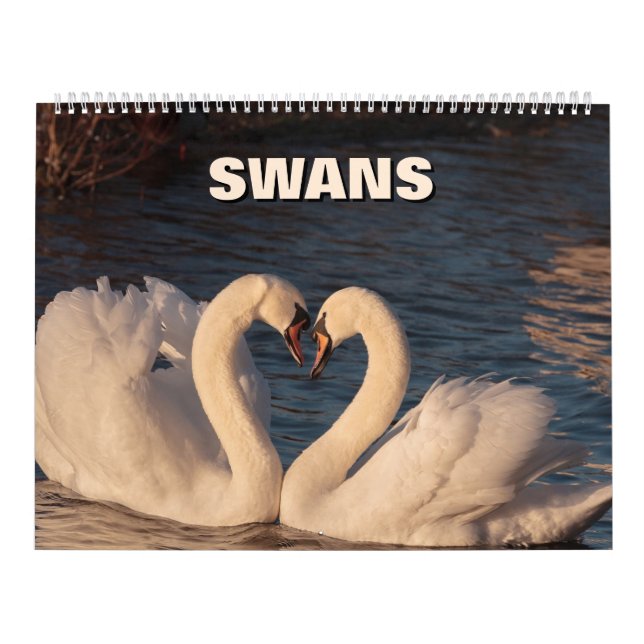 Calendario de Swans (Tapa)