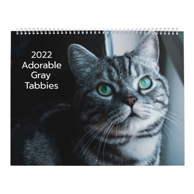 Calendario de Tabbies Gris Adorables 2022 (Tapa)