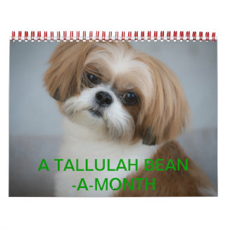 Calendario de Tallulah Bean Cute Shih Tzu 2014