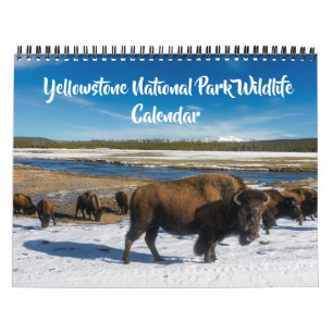 Calendario de tamaño mediano de Yellowstone - Cale
