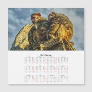 Calendario de tarjetas magnéticas de la familia de