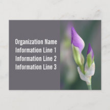 Calendario de tarjetas postales personalizadas de 