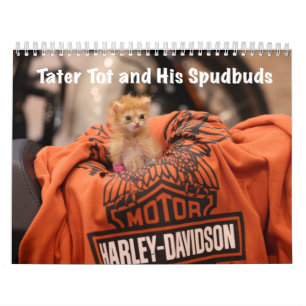 Calendario de Tater Tot 2024