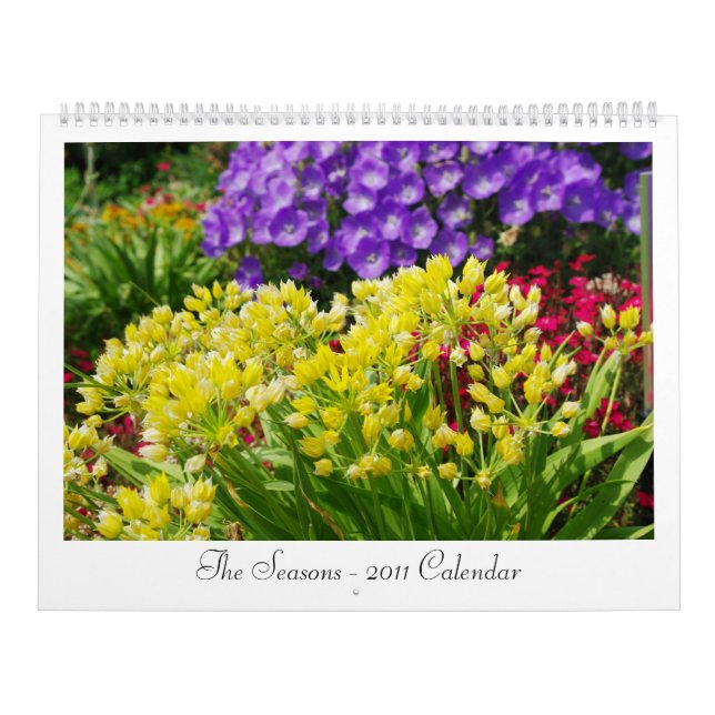 Calendario de temporada - 2011 (Tapa)