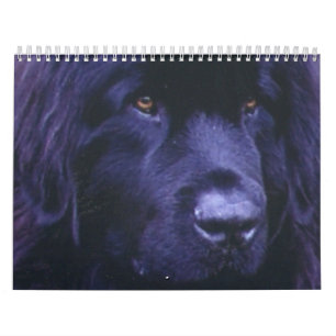 Calendario de Terranova