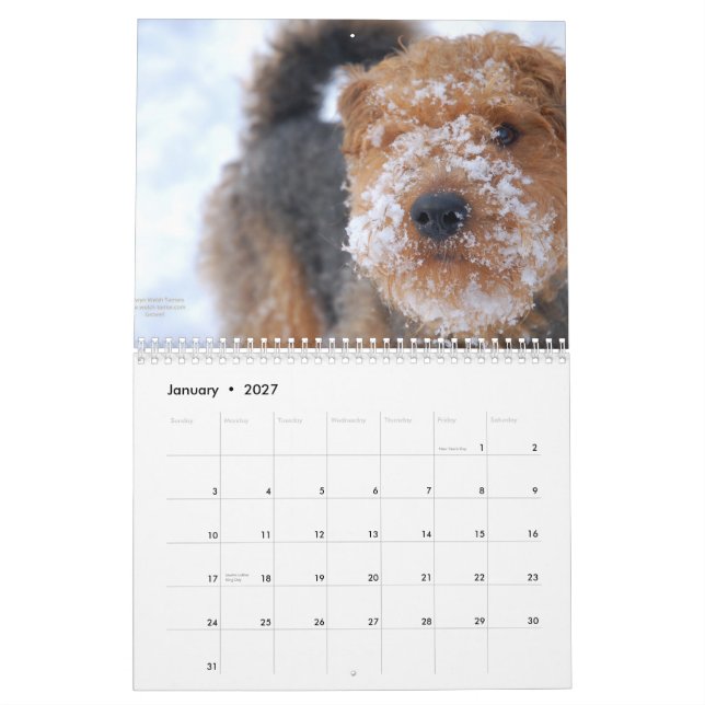 Calendario de Terrier galés 2012 por Darwyn (Jan 2027)