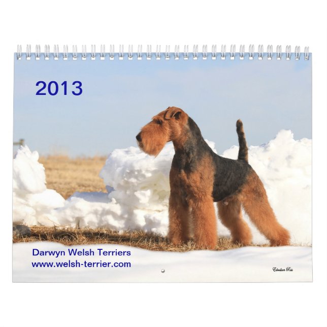 Calendario de Terrier galés 2013 por Darwyn (Tapa)