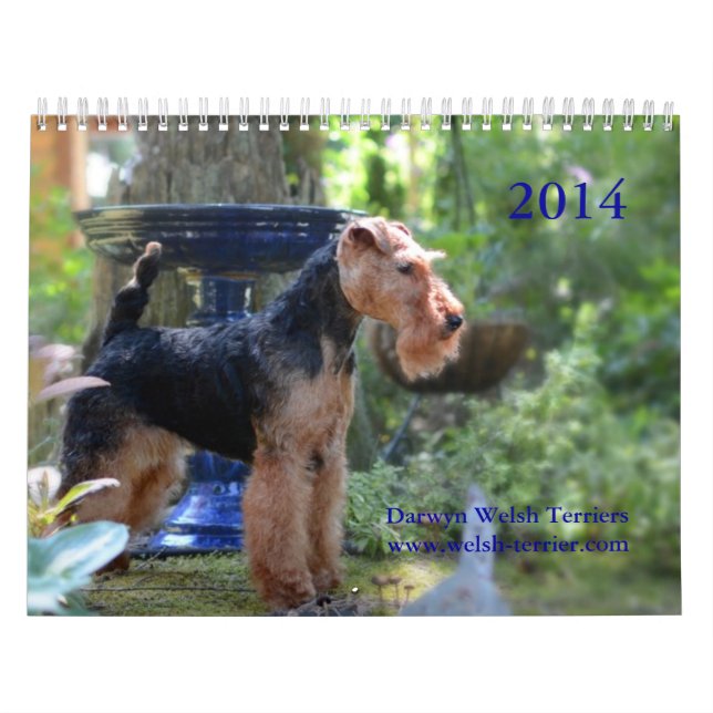 Calendario de Terrier galés 2014 por Darwyn (Tapa)