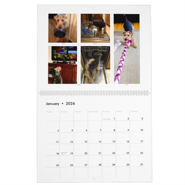 Calendario de Terrier galés 2015 por SBWT (Jan 2026)