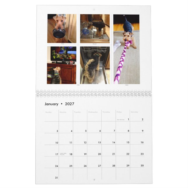 Calendario de Terrier galés 2015 por SBWT (Jan 2027)