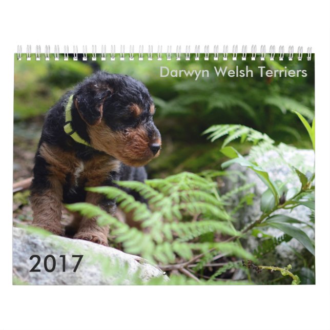 Calendario de Terrier galés 2017 por Darwyn (Tapa)
