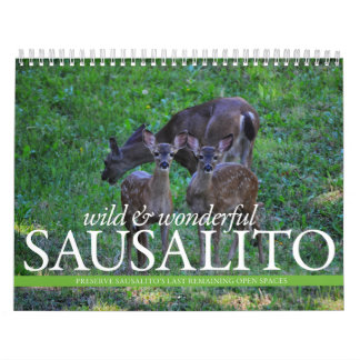 Calendario de THINKSausalito 2012