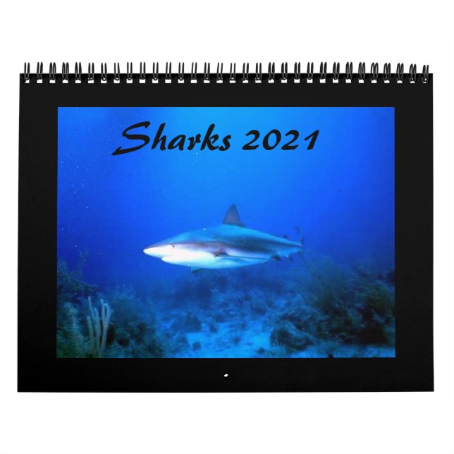 Calendario de tiburones 2021 (Tapa)