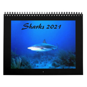 Calendario de tiburones 2021