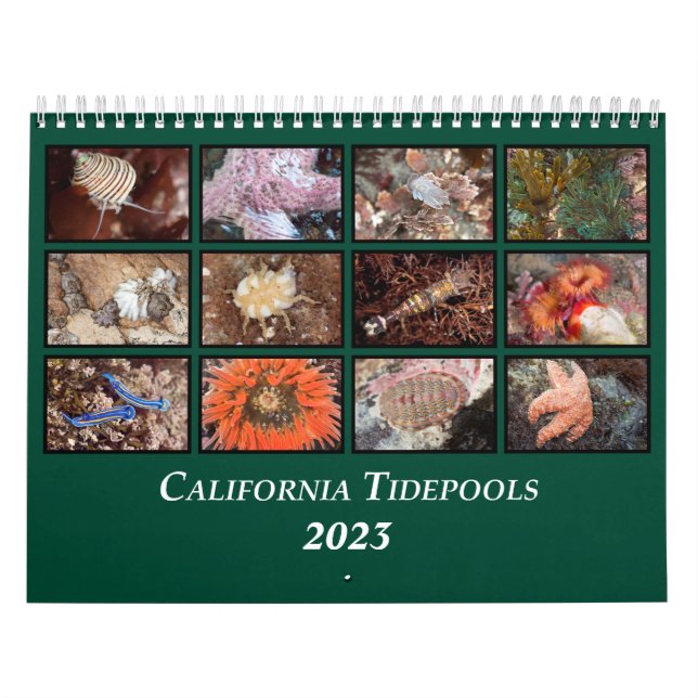 Calendario de Tidepool de California (Tapa)