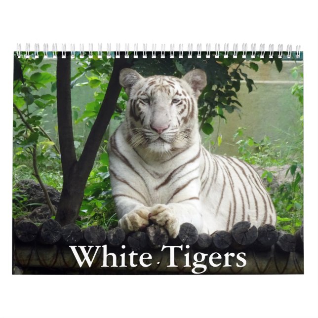 Calendario de tigres blancos (Tapa)